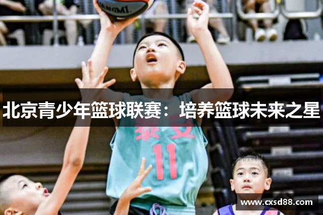 北京青少年篮球联赛：培养篮球未来之星